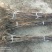 大棉球山楂苗基地直销死苗补发量大优惠保质保量