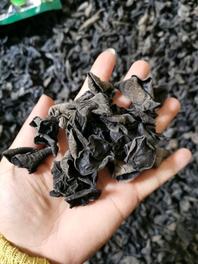 东北黑木耳，批发，零售，跑摊，产地直销