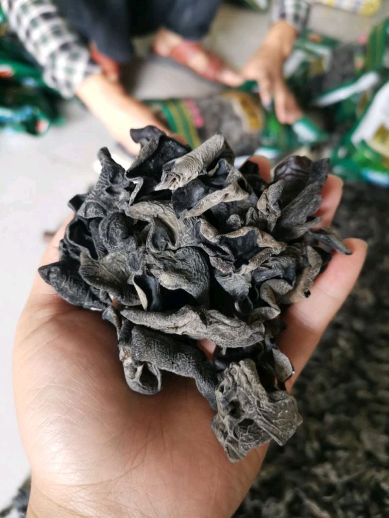东北黑木耳，批发，零售，跑摊，产地直销