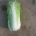 山东北京3号大白菜商超加工厂泡菜酸菜厂需要可以联系
