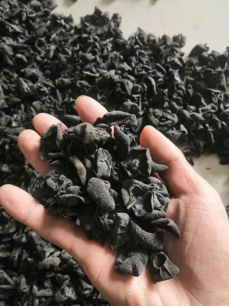 东北黑木耳，批发，零售，跑摊，产地直销