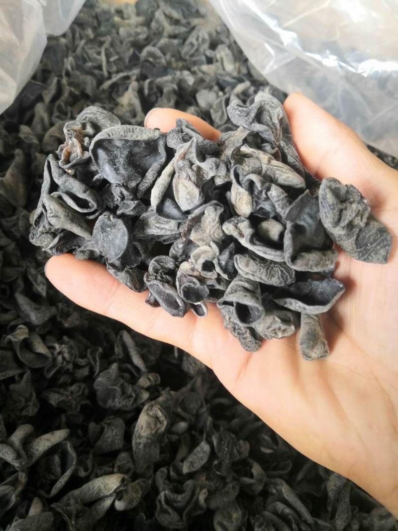 东北黑木耳，批发，零售，跑摊，产地直销