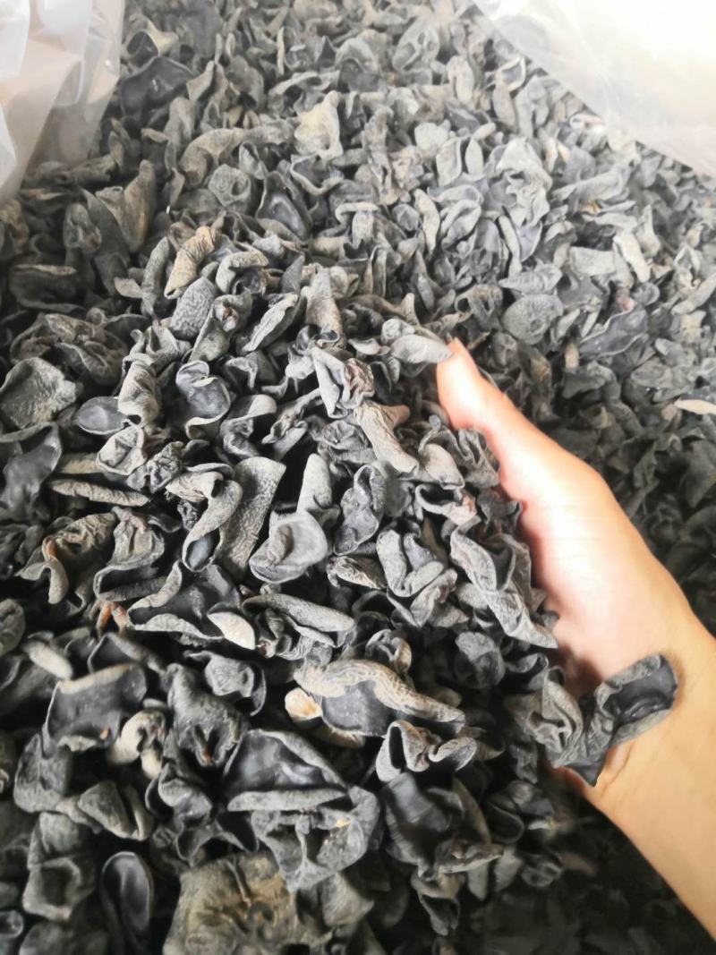 东北黑木耳，批发，零售，跑摊，产地直销