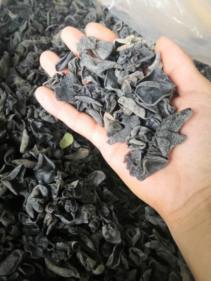 东北黑木耳，批发，零售，跑摊，产地直销