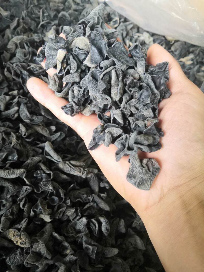 东北黑木耳，批发，零售，跑摊，产地直销