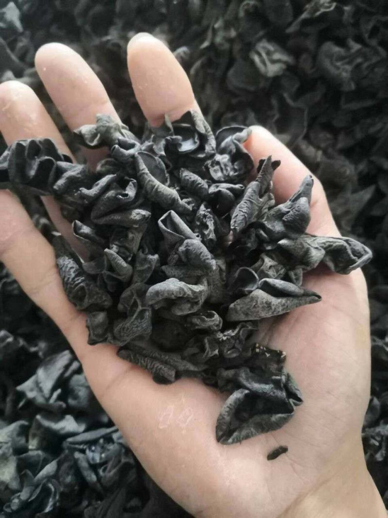 东北黑木耳，批发，零售，跑摊，产地直销