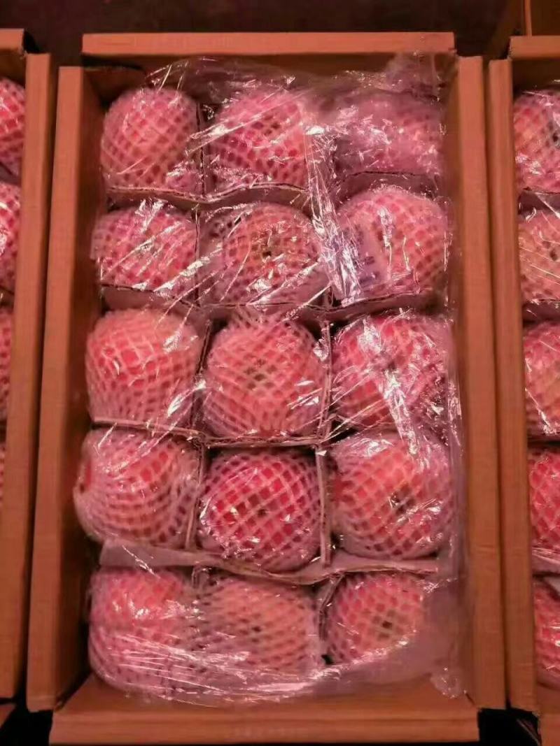 红富士苹果新鲜上。存库的加品。条红苹果