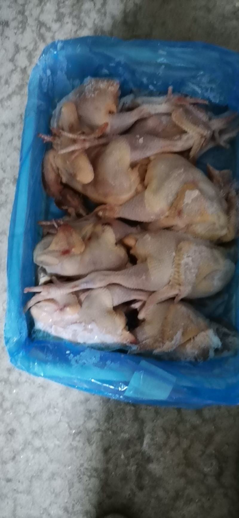 长期出售三黄整只鸡欢迎来厂里考察诚招代理
