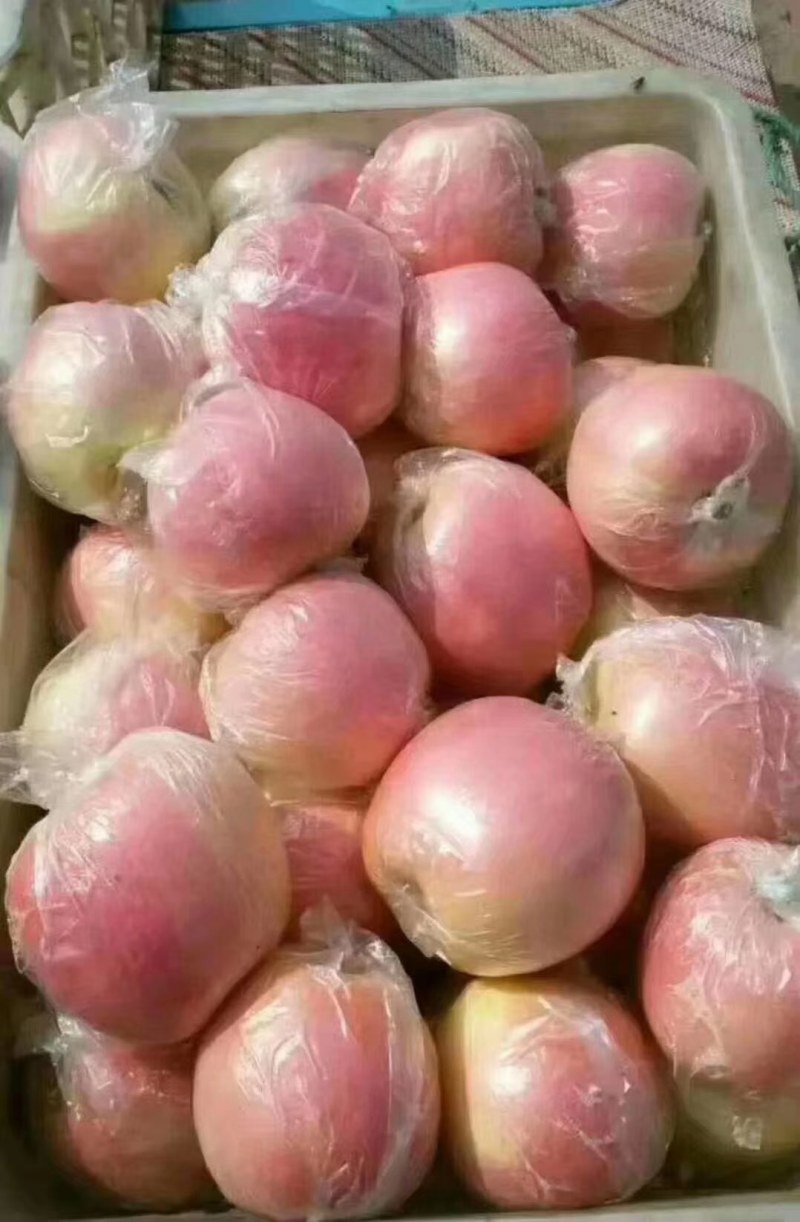 【精品】山东优质红富士苹果产地直供保质保量量大从优
