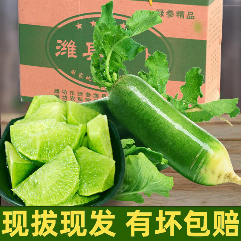 水果萝卜潍县萝卜口感清香脆甜质量保证一件代发