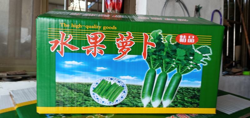 山东萝卜精品水果萝卜清脆甘甜量大从优欢迎新老客户