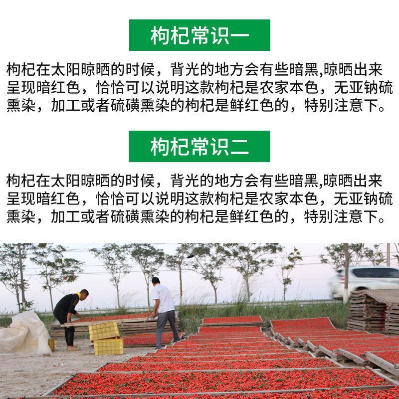 宁夏正宗枸杞子泡酒泡茶一件代发包邮