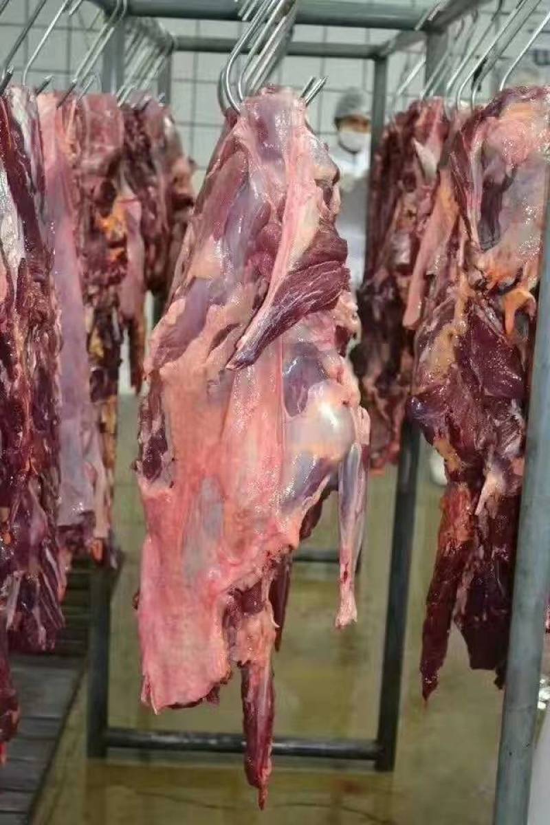驴肉驴肉四分体五分体颜色鲜质量好出肉率高