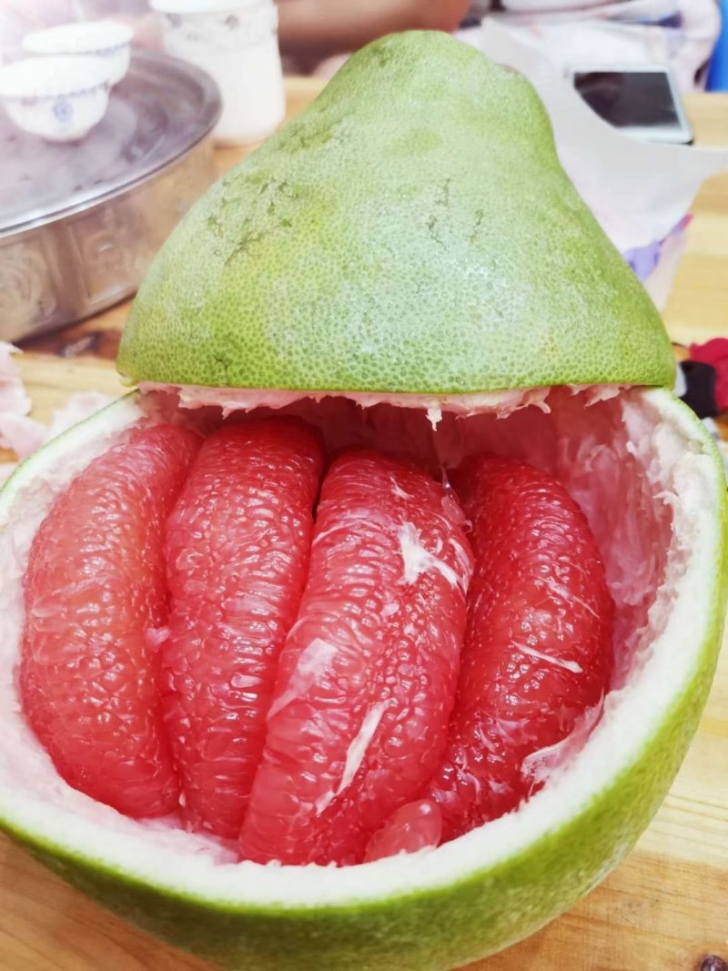 泰国红宝石青柚苗，泰国红柚苗，红宝石柚子苗