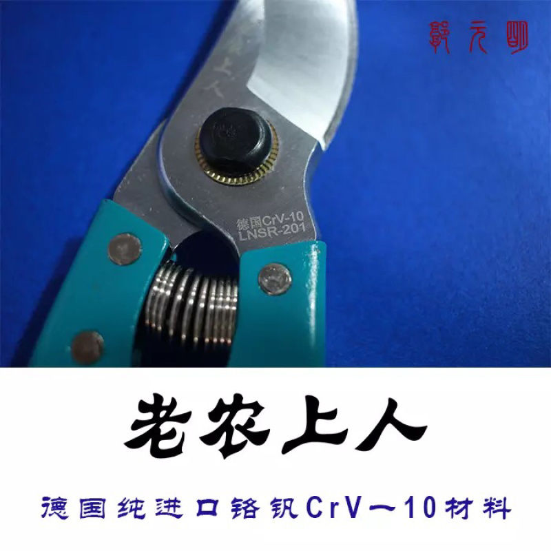 德国品牌剪刀枝剪修枝剪园艺枝剪果树剪刀进口钢材