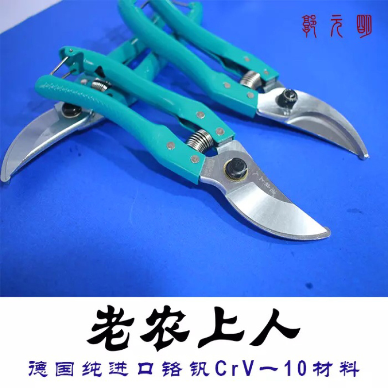 德国品牌剪刀枝剪修枝剪园艺枝剪果树剪刀进口钢材
