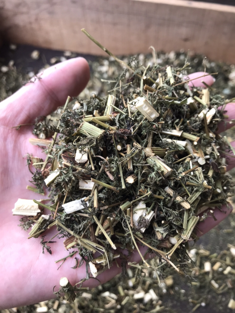 青蒿保庆药业批发青蒿草发货如图！发货前过筛！