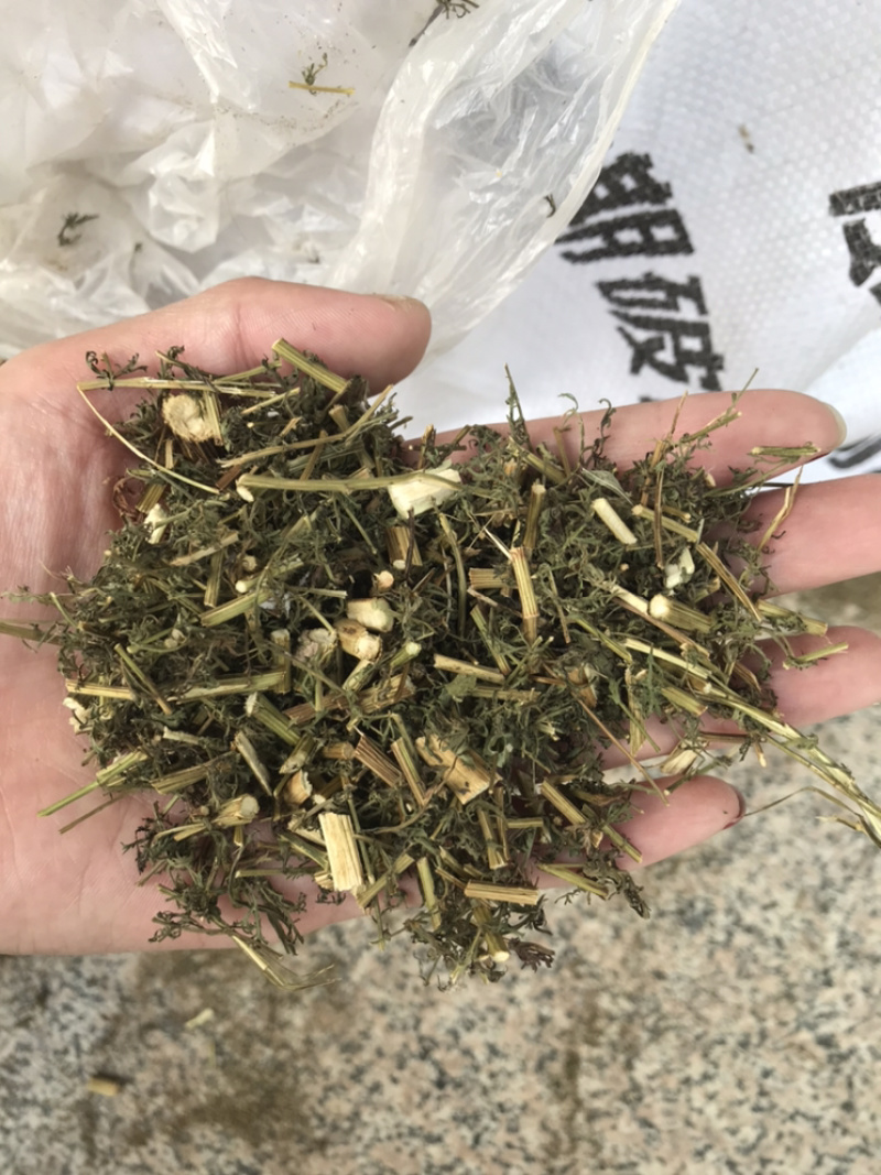 青蒿保庆药业批发青蒿草发货如图！发货前过筛！
