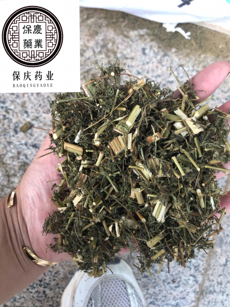 青蒿保庆药业批发青蒿草发货如图！发货前过筛！