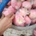 陕西礼泉老树精品膜袋红富士苹果产地直供一手货源