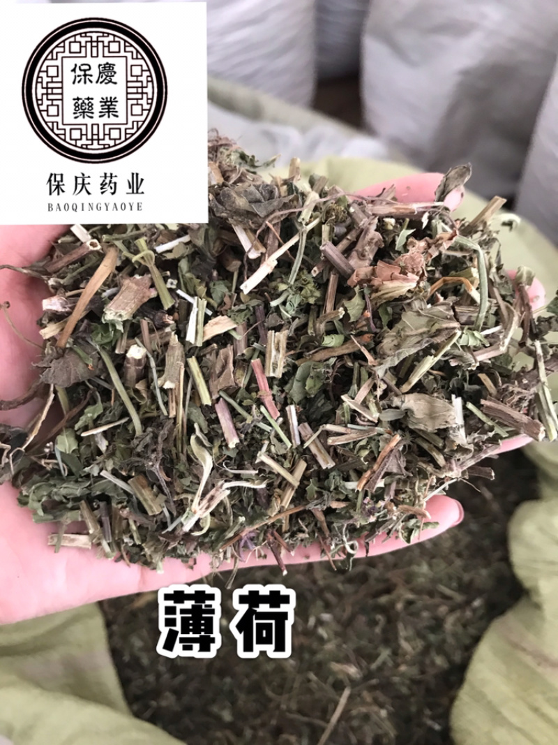 薄荷带叶薄荷干货薄荷保庆药业正品无硫实物拍摄