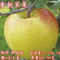 水蜜桃苹果苗基地直销品种纯正假一赔十死苗补发
