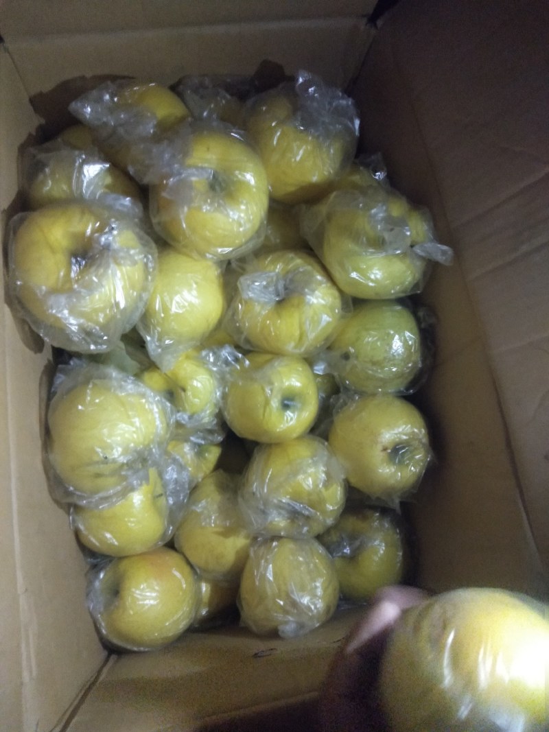 大量出售黄香蕉苹果和红星苹果有要的老板联系