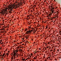 河南三樱八号干辣椒代办代发，河南干辣椒产地
