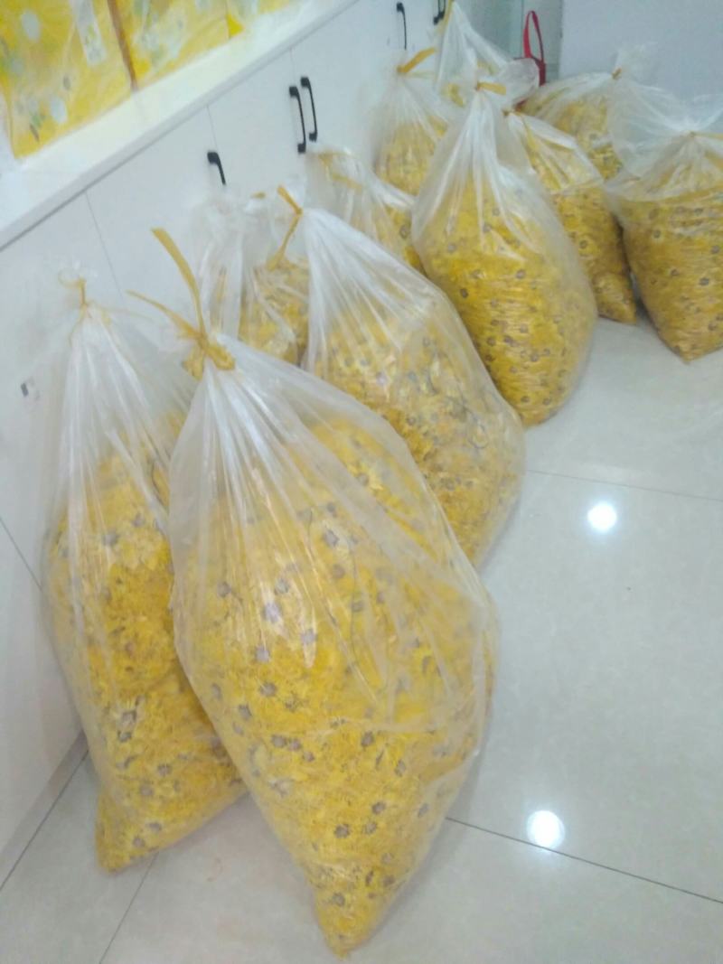 精品各种金丝皇菊菊花茶批发