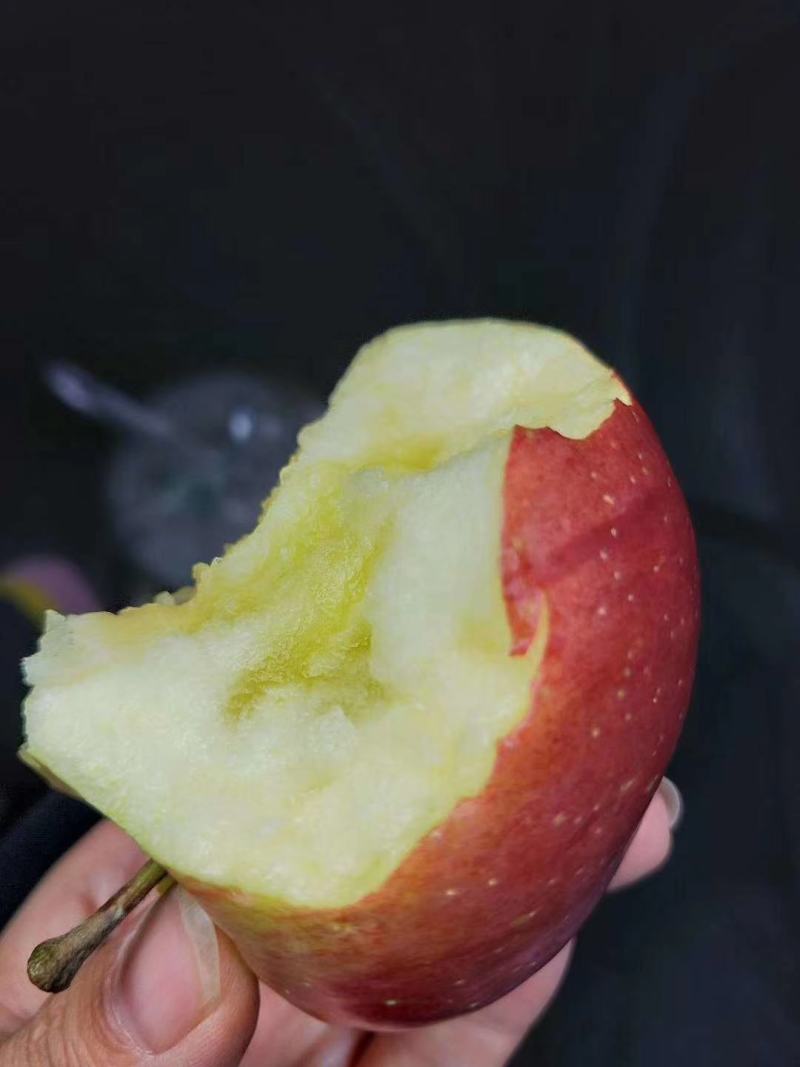 汉源糖心红富士糖分十足