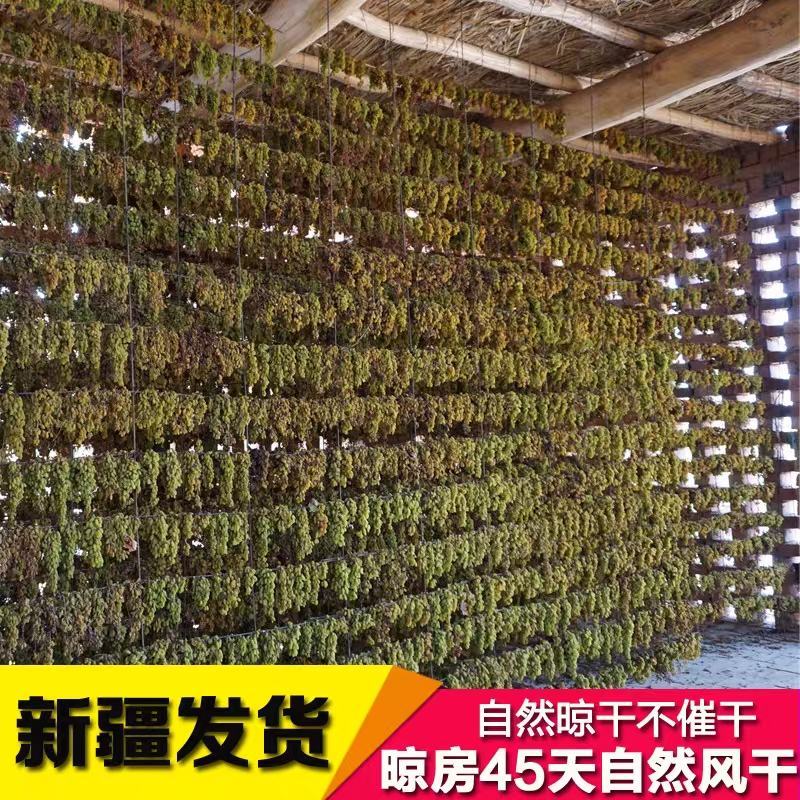 【包邮包赔】2024年新货，树上黄中大粒、绿宝石中粒
