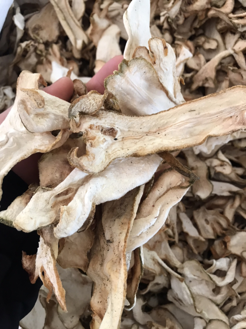 广佛手干货无硫广佛手产地直销