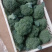 优质小米西兰花基地直发品质保证