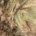 草苫稻草帘子保温蔬菜大棚草帘稻草垫子保温帘干草垫夏季隔热