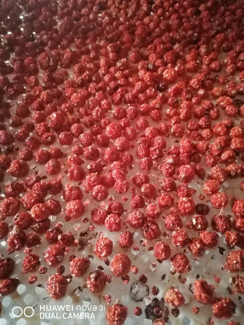 红姑娘果，烘干的果子，