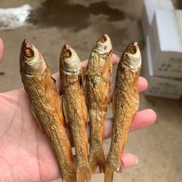 湖南特产水库淡刁子鱼干火焙小鱼干产地直发20斤起质量保证