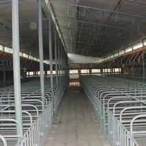 养殖大棚钢管骨架椭圆管养猪棚农场养鸡养殖支架搭建温室大棚