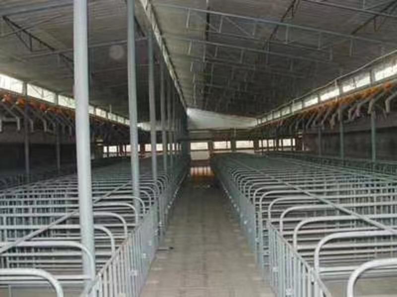 养殖大棚钢管骨架椭圆管养猪棚农场养鸡养殖支架搭建温室大棚