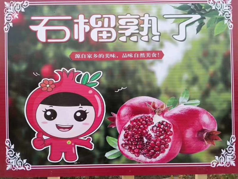 新疆喀什大石榴开售，欢迎全国朋友订购
