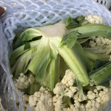 精品有机花常年全国代办