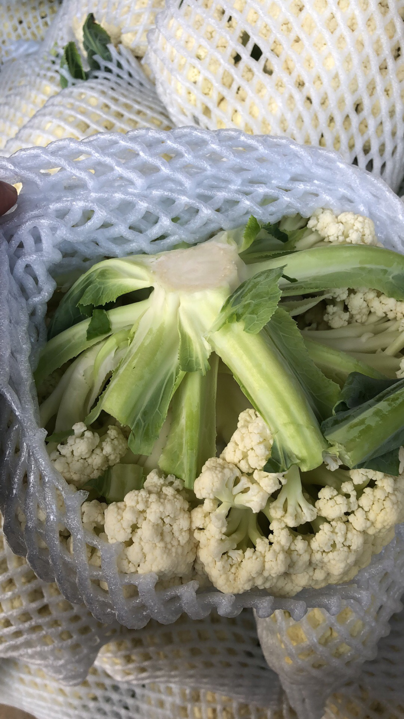 精品有机花常年全国代办