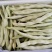 豆角白芸豆白不老架豆王白豆角