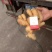 新鲜的黄姜产地。一手货源保质保量.品种齐全。价格实惠