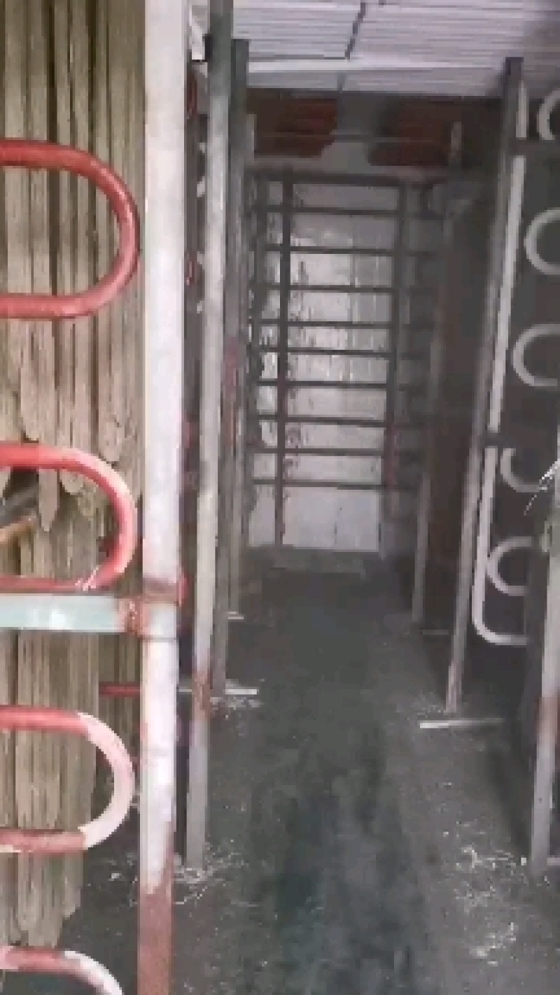 【正宗】纯红薯手工粉条无添加粉从打磨红薯到面粉干到制