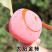 柿子苗富平牛心日本脆柿台湾脆柿磨盘品种齐全