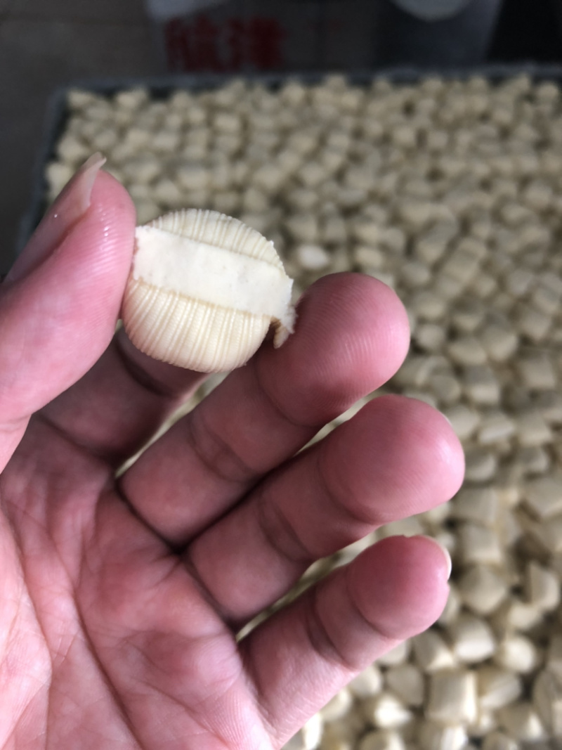 云南红河州石屏特产爆浆小豆腐，可油炸，可以烧烤