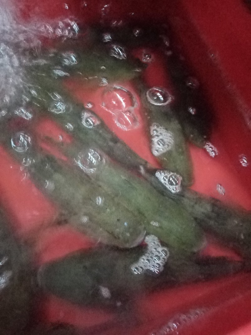笋壳鱼，沙丰鱼，木头鱼，海南水库天然生长，长期供应，合作