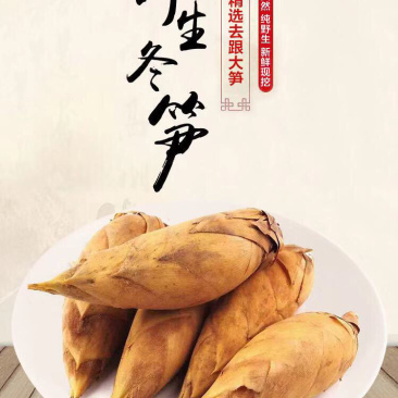 2020江西新鲜楠竹冬笋黄泥巴冬笋支持一件代发