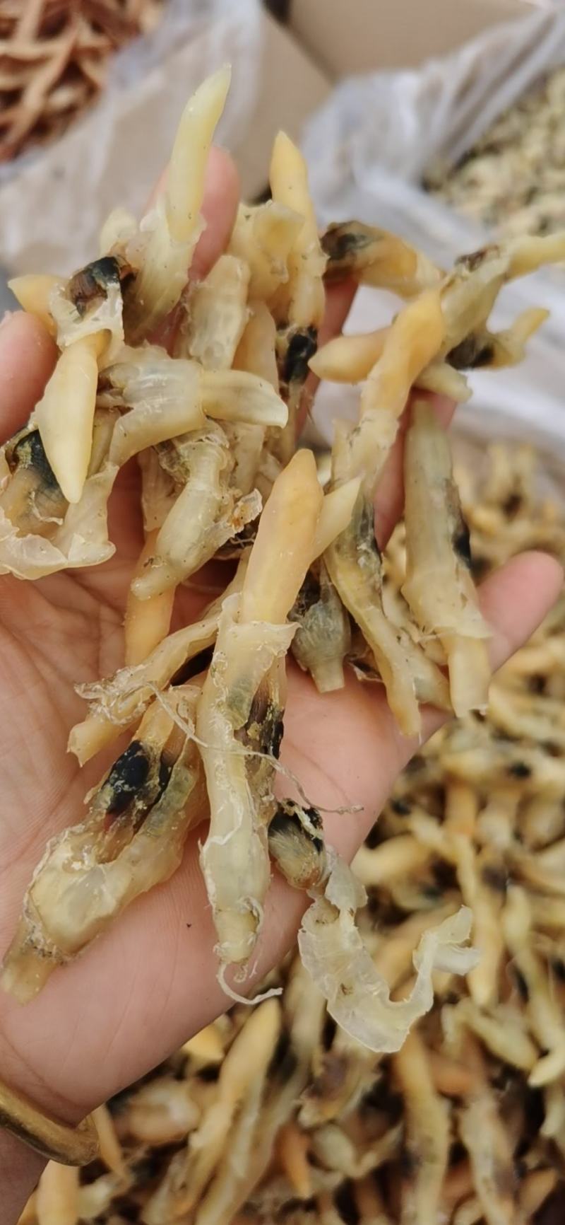 蛏王干，干度有九成支持一件代发，有大量现货
