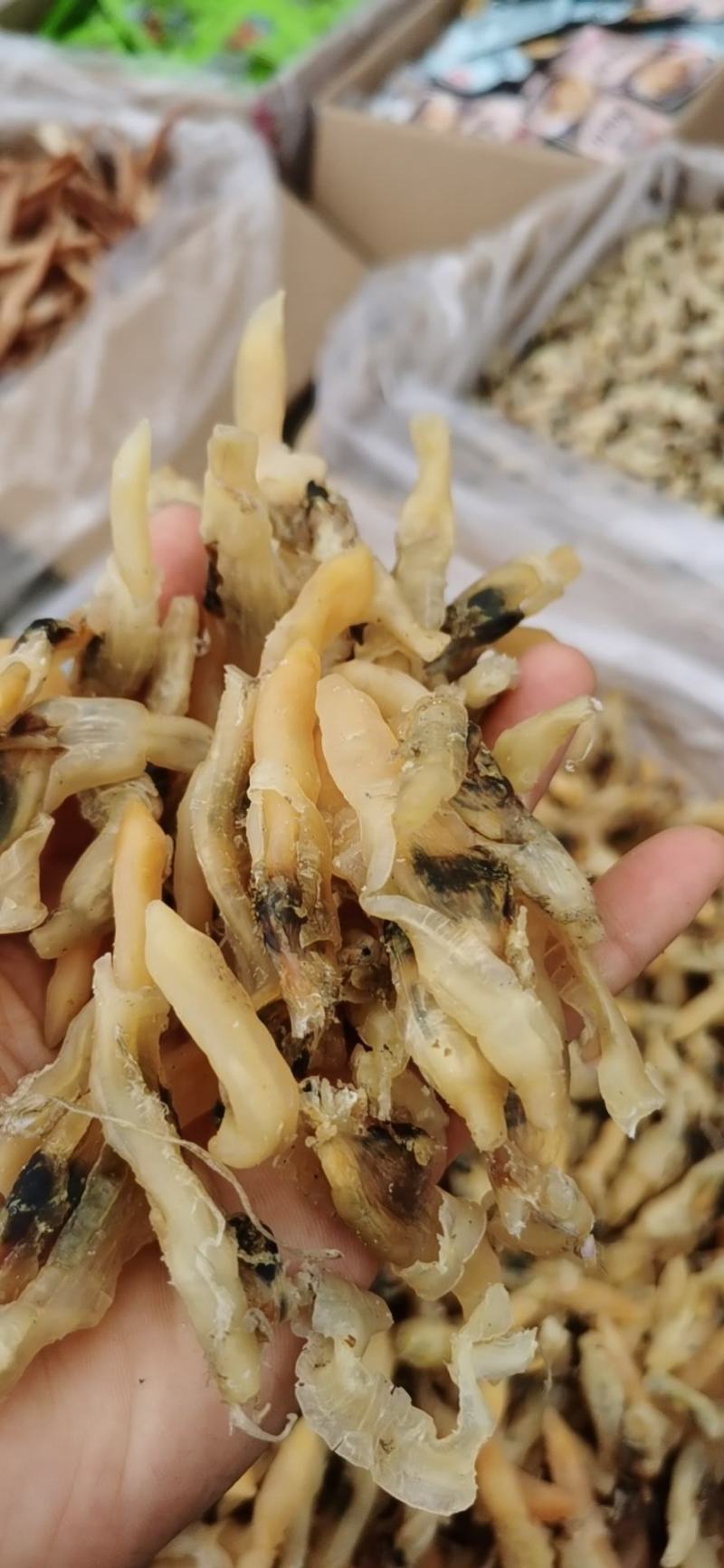 蛏王干，干度有九成支持一件代发，有大量现货